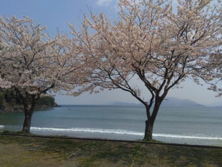 ライトショアジギング