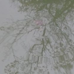 初心者自己新記録