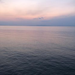 小アジ釣れ始め