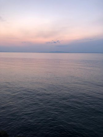 小アジ釣れ始め