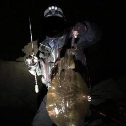 和歌山中紀エギングで春イカやっと釣れた