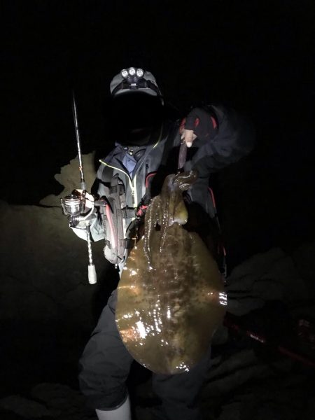 和歌山中紀エギングで春イカやっと釣れた