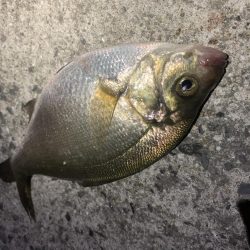 期待すべく時間に地合い