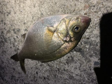 期待すべく時間に地合い