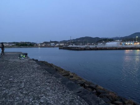 美味のマイワシを求めて