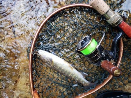 ヤマメちょいと！