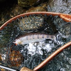 寒いなか頑張りました！