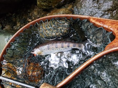 寒いなか頑張りました！