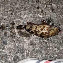 前回の大きさまではいかないが…