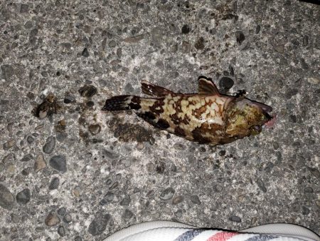 前回の大きさまではいかないが…