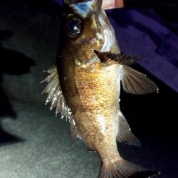 フロートアジング