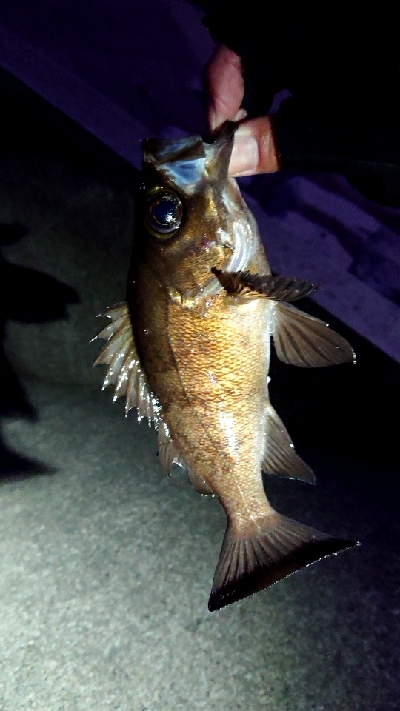 フロートアジング