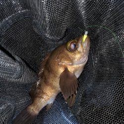 コロナに負けるな!