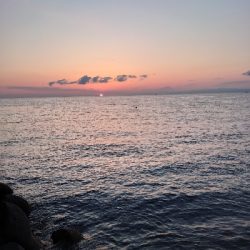 ショアジギング