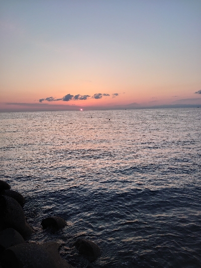 ショアジギング