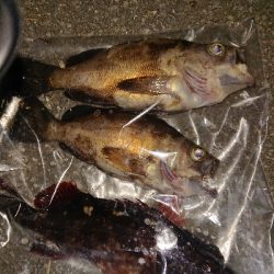 時合い短し‼️