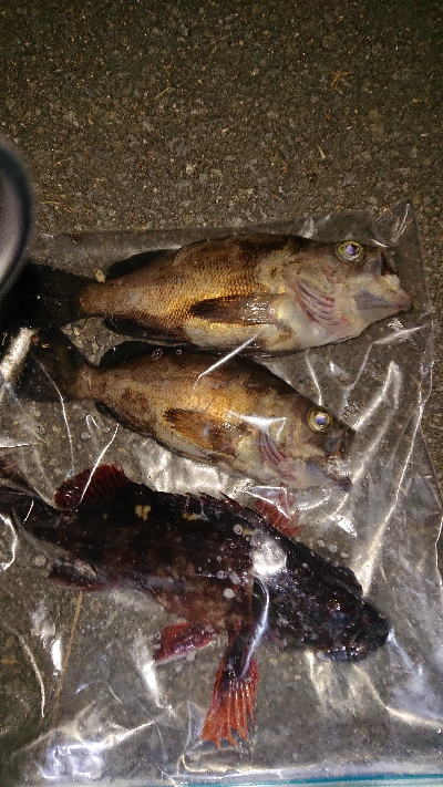 時合い短し‼️