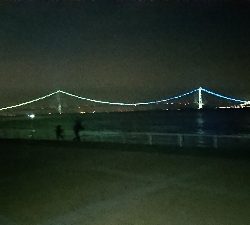 連日のメバリング