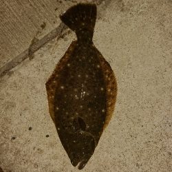 チョー久しぶりです!