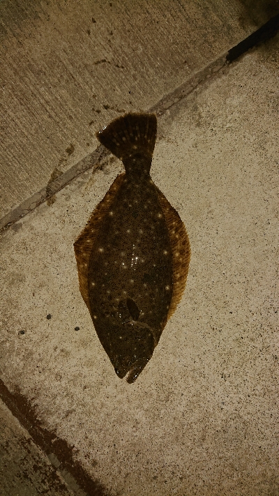 チョー久しぶりです！