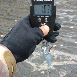 外出自粛要請ですが