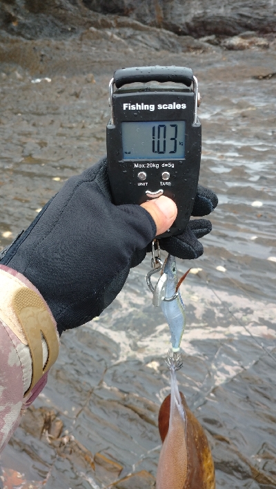 外出自粛要請ですが