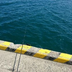 フラット狙いで、ようやくエソ！！