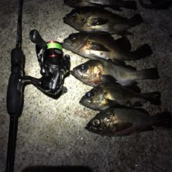 爆風メバリング