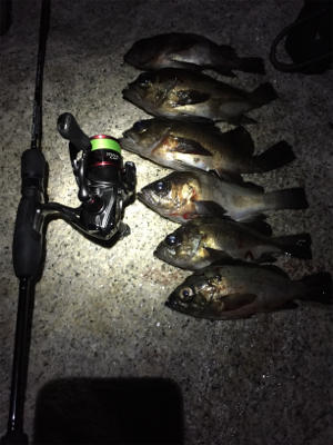 爆風メバリング