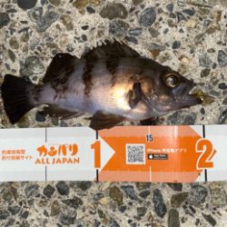 春になったらここ