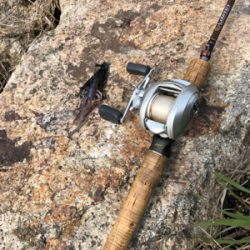 今年初の•••