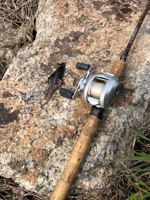 今年初の•••