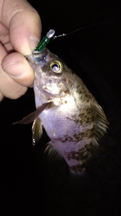 ナイトメバリング