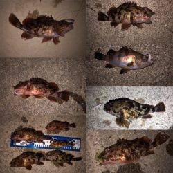 たまにはダウンショットで・・・