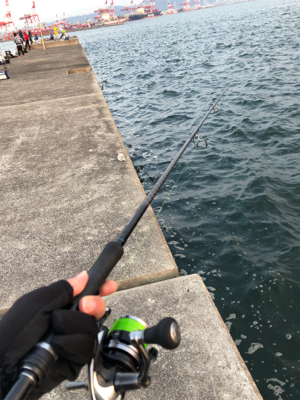 沖シーバス2週目