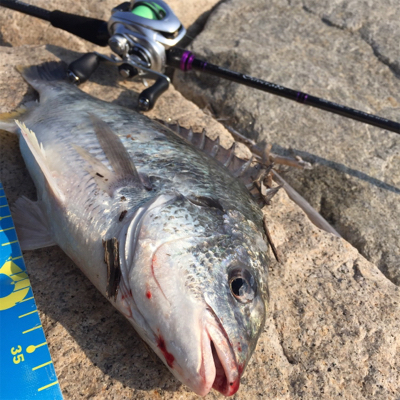 淀川ブリームゲーム