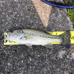 兵庫で初バス☆GUNNING-STYLE