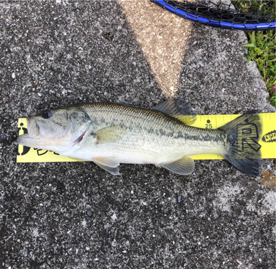 兵庫で初バス☆GUNNING-STYLE