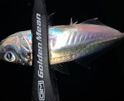 スーパームーン