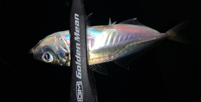 スーパームーン