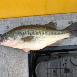 1日ボート釣行！