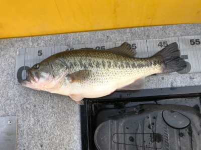 1日ボート釣行！