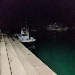 夜釣りにて