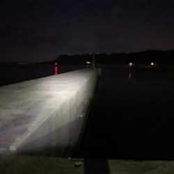 爆風メバリング