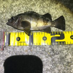 プラグ、フロートメバリング