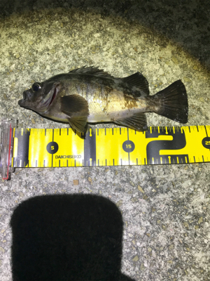 プラグ、フロートメバリング