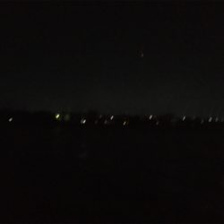 久しぶりのニョロニョロ