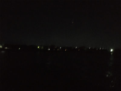 久しぶりのニョロニョロ