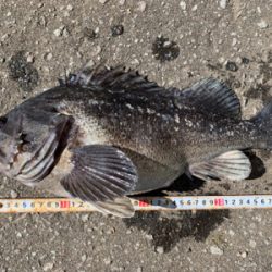 オフショアロック熱いです!