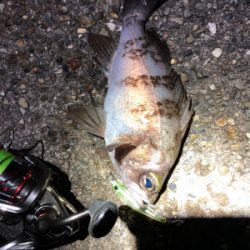 ハイプレッシャーポイント